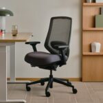 Branch Ergonomic Chair Pro _ Perigold